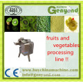 CE APPROVED COMMERCIAL kiwi fruit slice machine/vegetable and fruit slicing machine